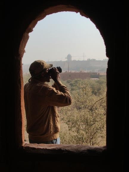 Morocco birdwatching travel overview in Morocco